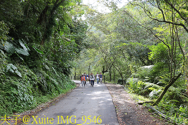 內洞瀑布 負離子芬多精瀰漫 全台最美的瀑布 IMG_9546.jpg - 烏來 內洞森林遊樂區 內洞瀑布 20181121