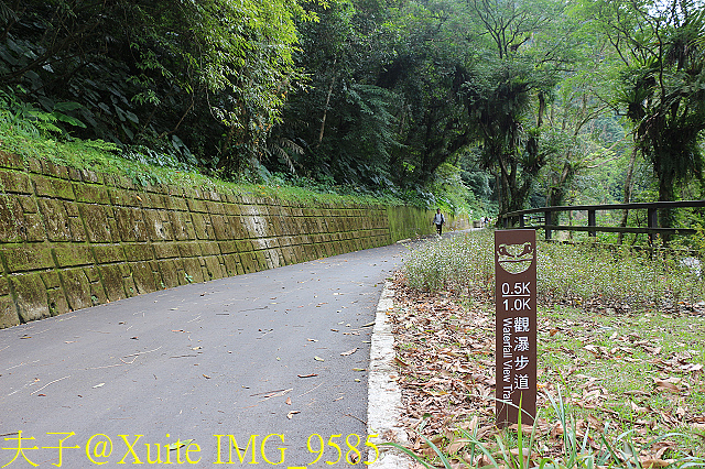 內洞瀑布 負離子芬多精瀰漫 全台最美的瀑布 IMG_9585.jpg - 烏來 內洞森林遊樂區 內洞瀑布 20181121