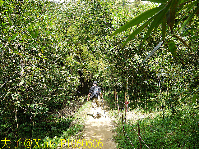 三貂嶺瀑布群 瀑布、峭壁、岩窟、壺穴、步道挑戰 一次入袋 P1060606.jpg - 三貂嶺瀑布群 20180813
