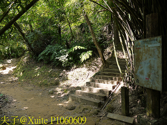 三貂嶺瀑布群 瀑布、峭壁、岩窟、壺穴、步道挑戰 一次入袋 P1060609.jpg - 三貂嶺瀑布群 20180813