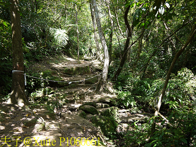 三貂嶺瀑布群 瀑布、峭壁、岩窟、壺穴、步道挑戰 一次入袋 P1060661.jpg - 三貂嶺瀑布群 20180813