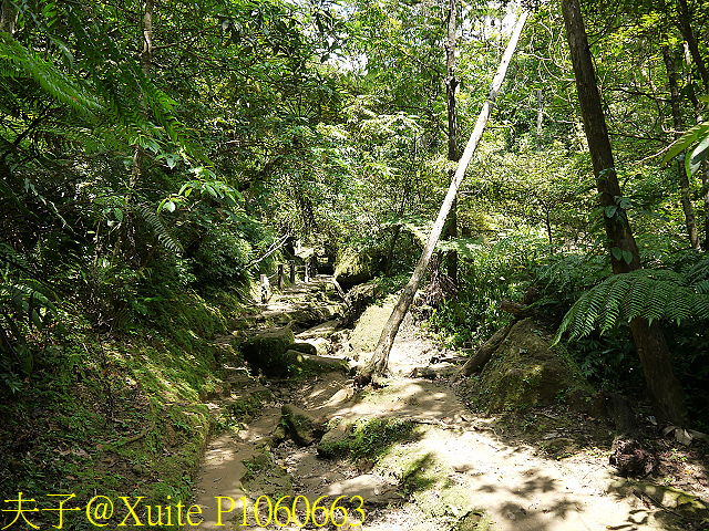 三貂嶺瀑布群 瀑布、峭壁、岩窟、壺穴、步道挑戰 一次入袋 P1060663.jpg - 三貂嶺瀑布群 20180813