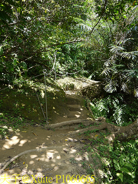 三貂嶺瀑布群 瀑布、峭壁、岩窟、壺穴、步道挑戰 一次入袋 P1060665.jpg - 三貂嶺瀑布群 20180813