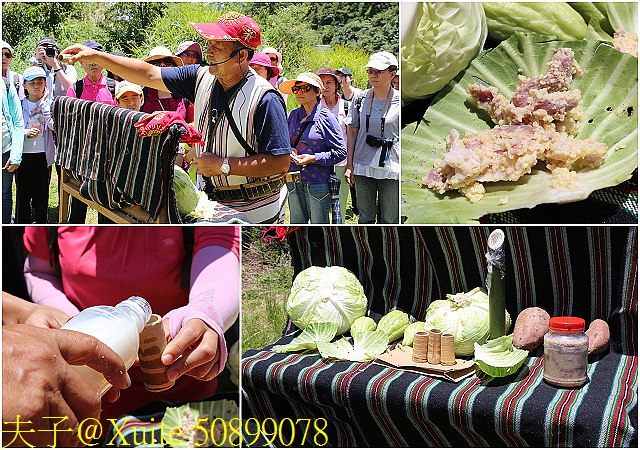 50899078.jpg - 宜蘭南山部落迷霧森林 2018/07/28