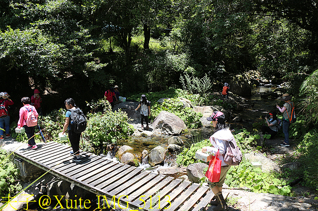 IMG_5113.jpg - 宜蘭南山部落迷霧森林 2018/07/28