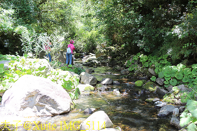 IMG_5114.jpg - 宜蘭南山部落迷霧森林 2018/07/28