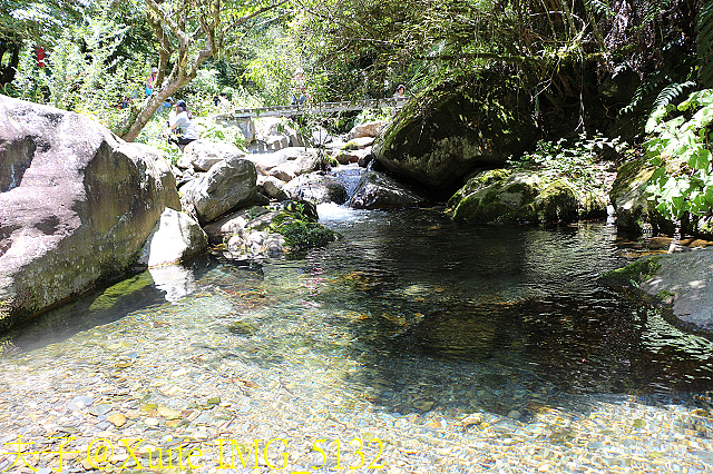 IMG_5132.jpg - 宜蘭南山部落迷霧森林 2018/07/28