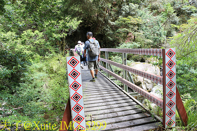 IMG_5299.jpg - 宜蘭南山部落迷霧森林 2018/07/28