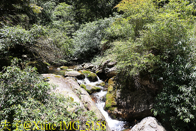 IMG_5158.jpg - 宜蘭南山部落迷霧森林 2018/07/28