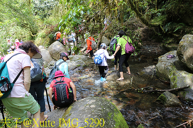 IMG_5290.jpg - 宜蘭南山部落迷霧森林 2018/07/28