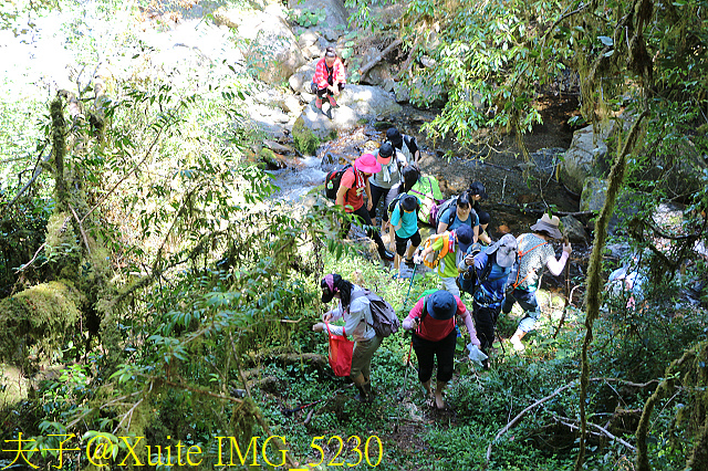IMG_5230.jpg - 宜蘭南山部落迷霧森林 2018/07/28