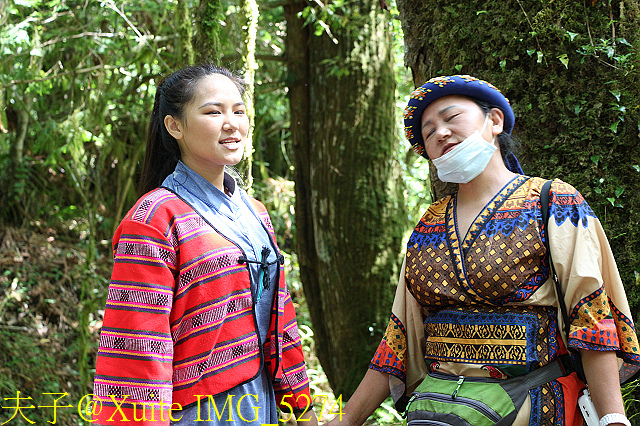 IMG_5274.jpg - 宜蘭南山部落迷霧森林 2018/07/28