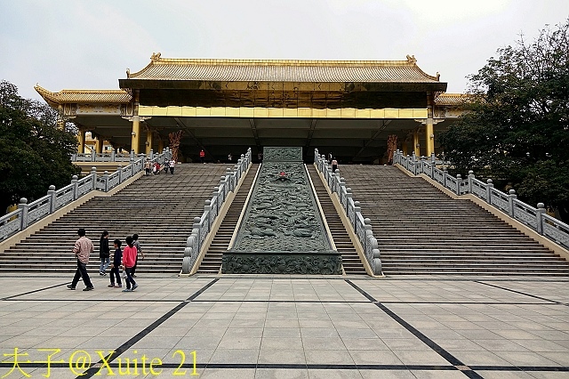 花旗木、桃紅陣雨樹、泰國櫻花、平地櫻花，通通是它的名字