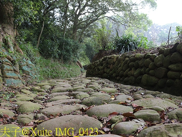 IMG_0423.jpg - [嬉遊桃園.品味農博] 2018桃園農博小旅行 2018/04/04