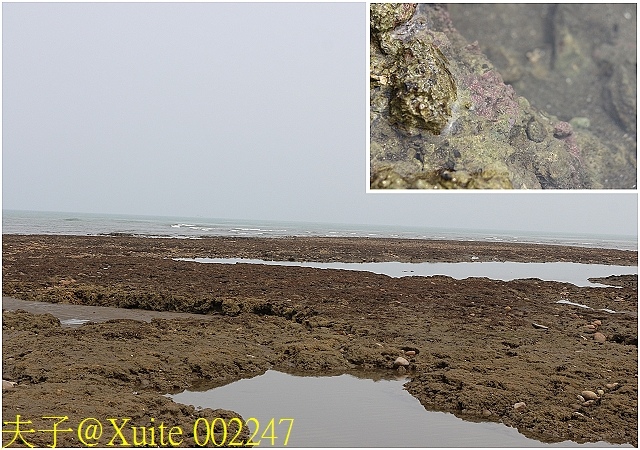 002247.jpg - [嬉遊桃園.品味農博] 2018桃園農博小旅行 2018/04/04