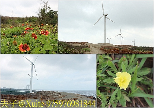 975976981844.jpg - [嬉遊桃園.品味農博] 2018桃園農博小旅行 2018/04/04