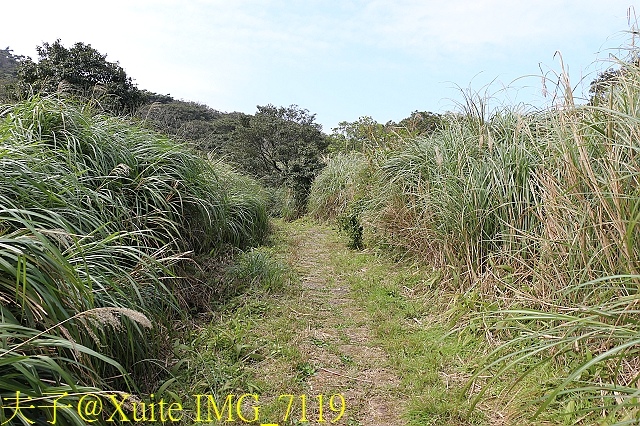 IMG_7119.jpg - 陽明山菜公坑登山步道 反經石 20180213  