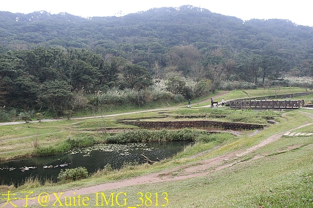 IMG_3813.jpg - 陽明山二子坪步道 2017/12/11