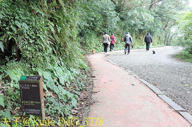 IMG_3778.jpg - 陽明山二子坪步道 2017/12/11