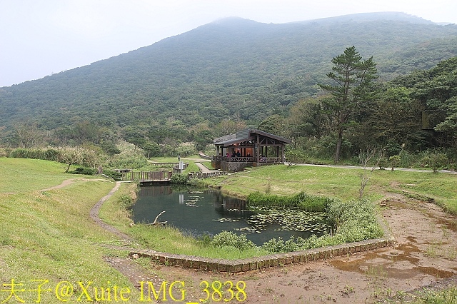 IMG_3838.jpg - 陽明山二子坪步道 2017/12/11