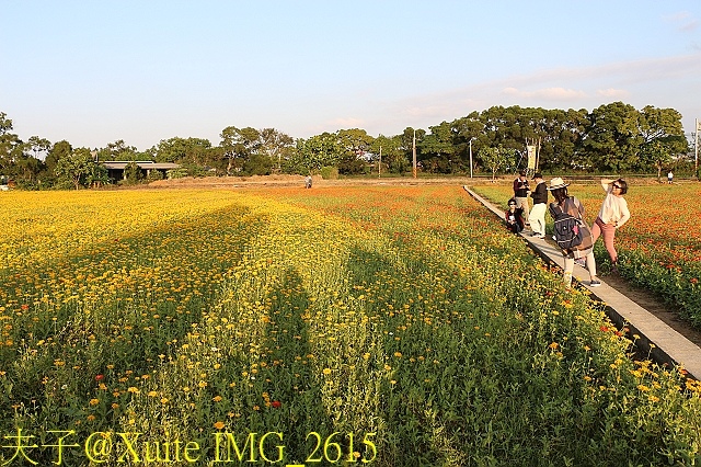 IMG_2615.jpg - 2017桃園花彩節 花現楊梅 童遊花海 楊梅活動展區 20171026