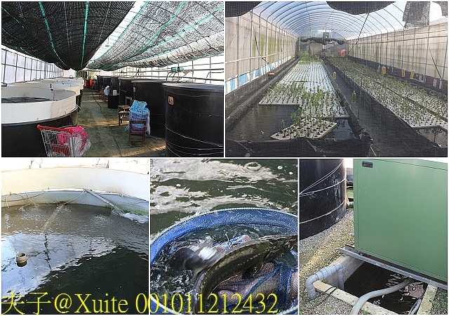 001011212432.jpg - 大溪魚菜共生坊 2019/09/12