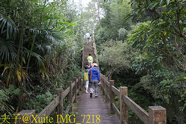 IMG_7218.jpg - 阿里山新秘境,跟著土匪去闖蕩~森態找茶趣 - 巃頂步道觀日出、隙頂二延坪步道 20170819