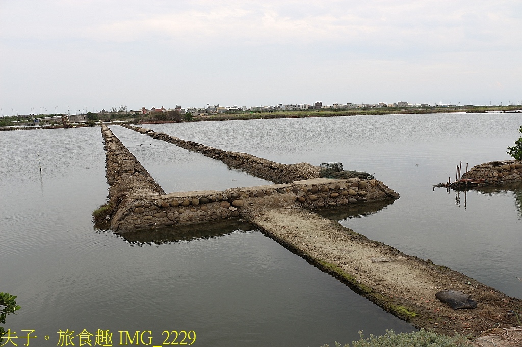 繁華若夢 風華再現 方圓美術館 X 青鯤鯓扇形鹽田生命之樹