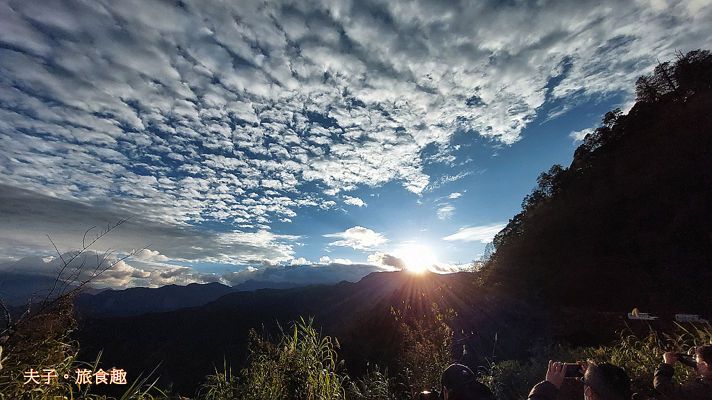 阿里山 特富野古道 拜訪鹿林神木 自忠登山口觀景台 看日出