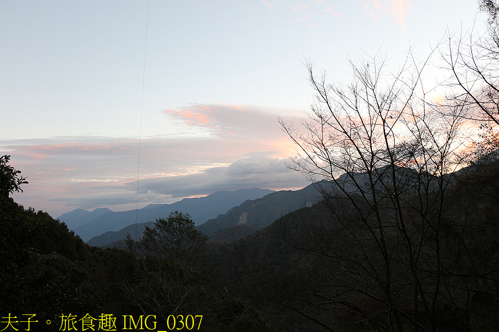 阿里山 特富野古道 拜訪鹿林神木 自忠登山口觀景台 看日出