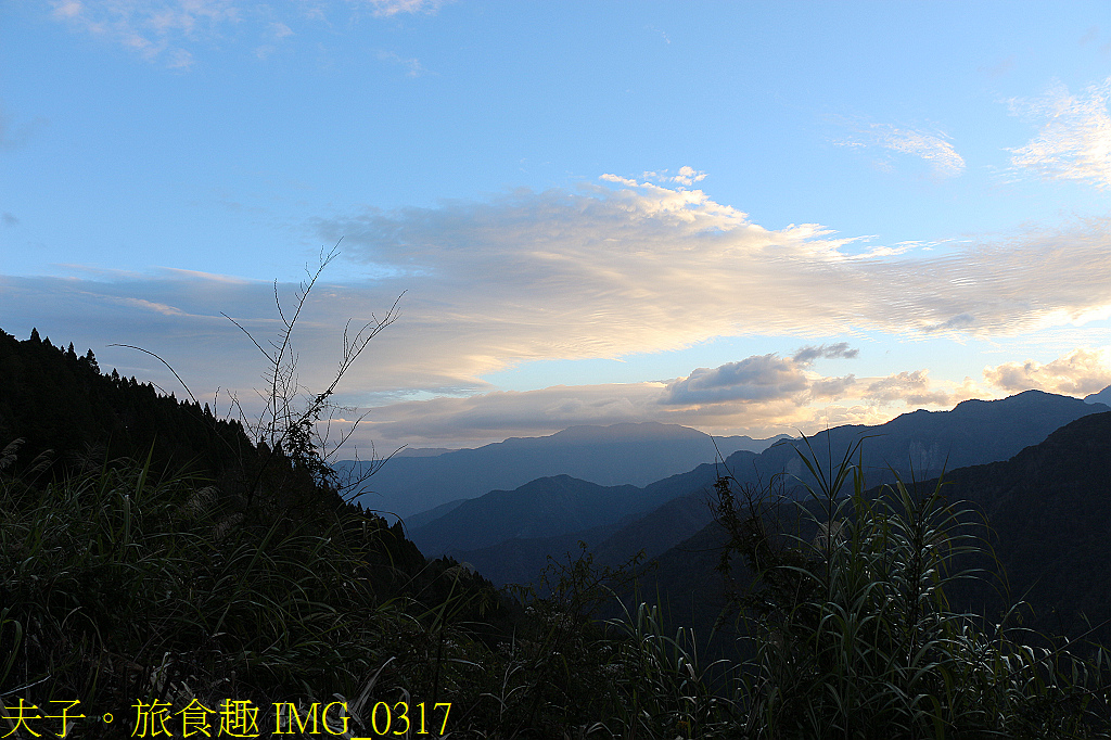 阿里山 特富野古道 拜訪鹿林神木 自忠登山口觀景台 看日出