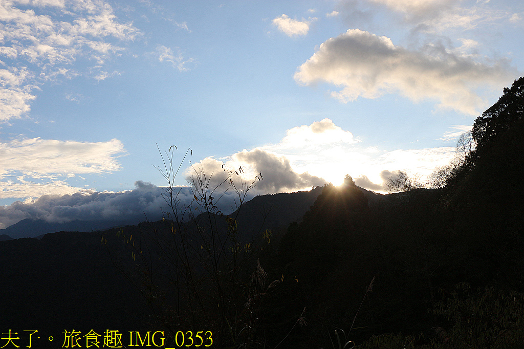 阿里山 特富野古道 拜訪鹿林神木 自忠登山口觀景台 看日出