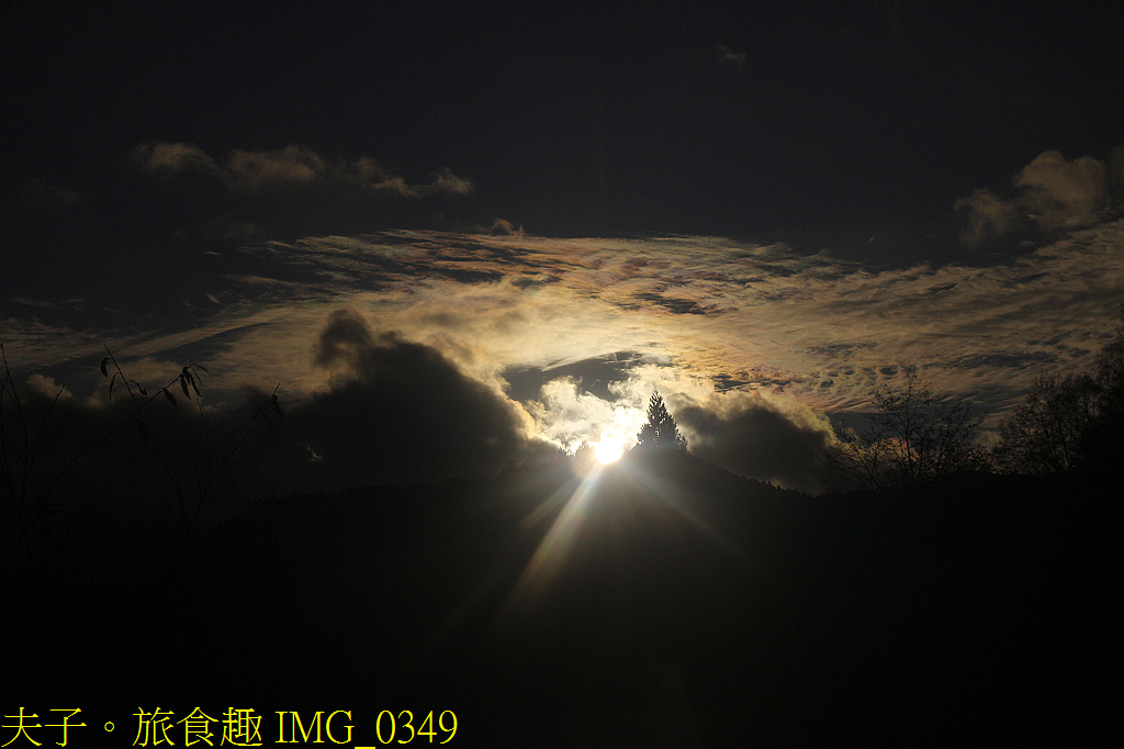 阿里山 特富野古道 拜訪鹿林神木 自忠登山口觀景台 看日出