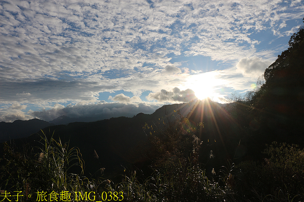 阿里山 特富野古道 拜訪鹿林神木 自忠登山口觀景台 看日出