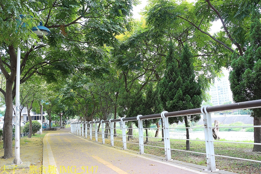 台灣欒樹 台灣金雨樹 燈籠樹 四色樹 都是它的名字