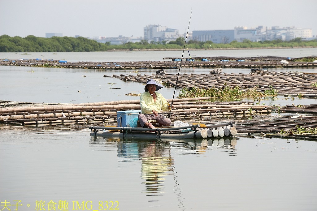 台江漁樂園 大員港生態遊船 賞鳥 捕魚體驗 認識紅樹林植物