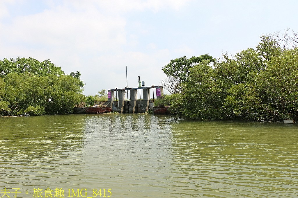 台江漁樂園 大員港生態遊船 賞鳥 捕魚體驗 認識紅樹林植物