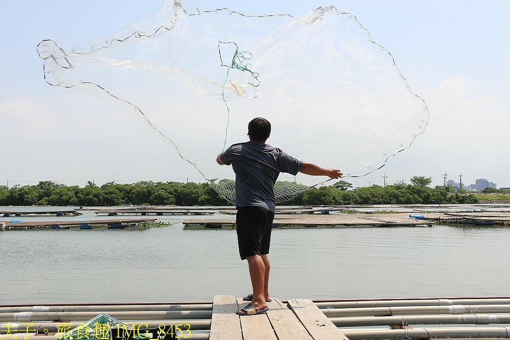 台江漁樂園 大員港生態遊船 賞鳥 捕魚體驗 認識紅樹林植物