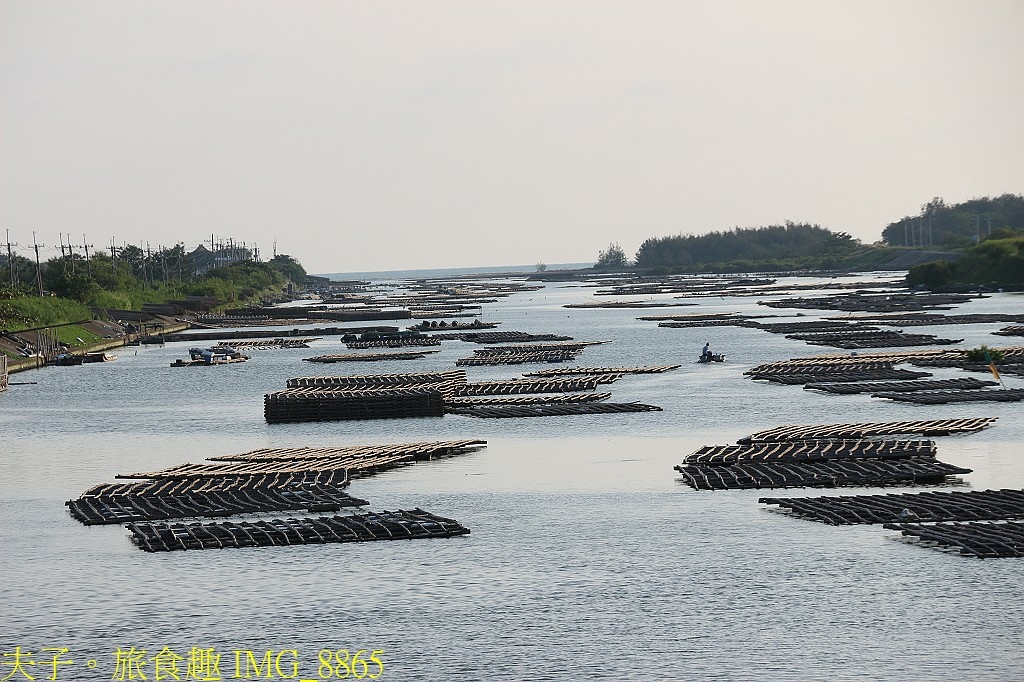 媽祖宮九塊厝生態園區 青蛙裝漁夫體驗 X 虱目魚美味饗宴 X