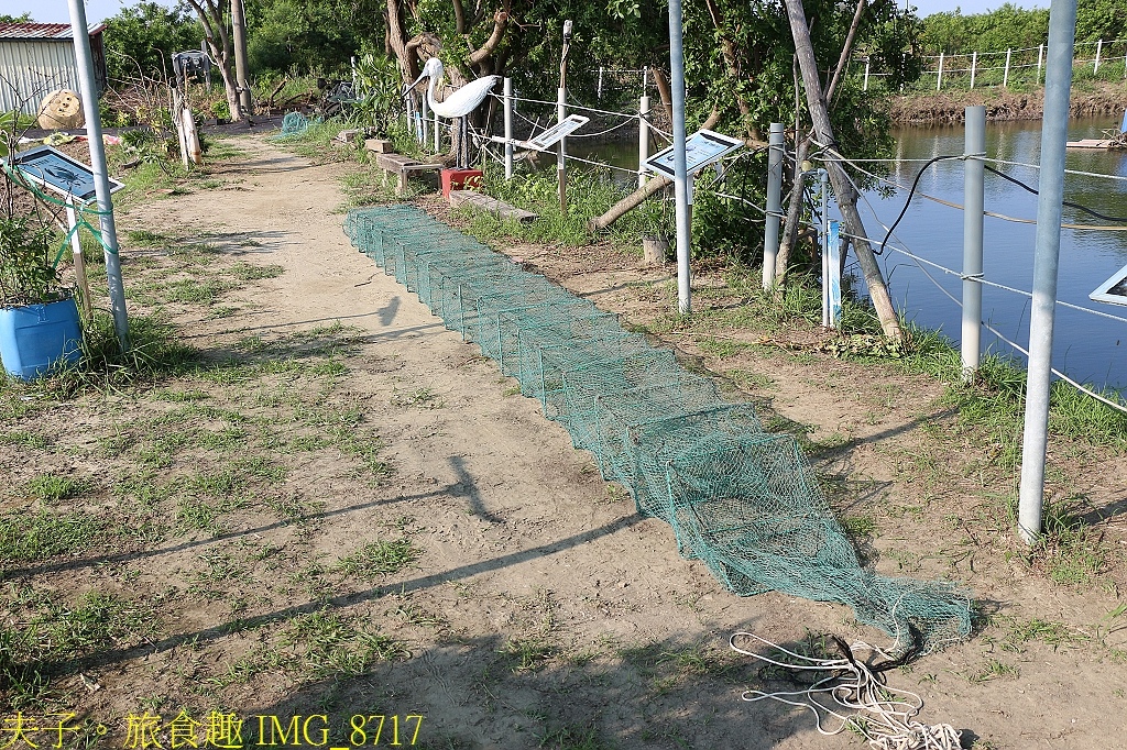 媽祖宮九塊厝生態園區 青蛙裝漁夫體驗 X 虱目魚美味饗宴 X