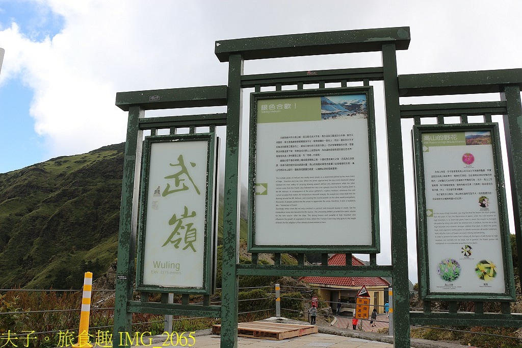 武嶺 高山植物 虎杖 玉山抱莖籟簫 黃菀 展現秋季的美麗