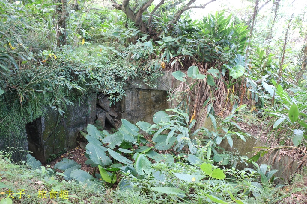 金山萬里 登高 X 泡湯 X 萬里蟹 浪漫暖旅行