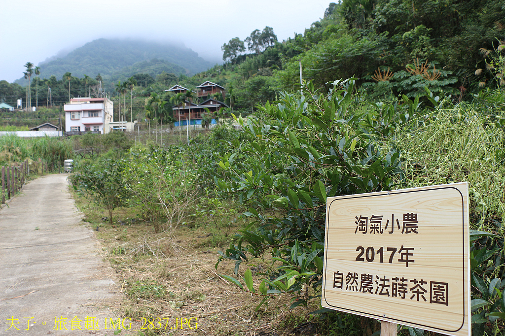 谷關泰好玩 山林生態愜意談