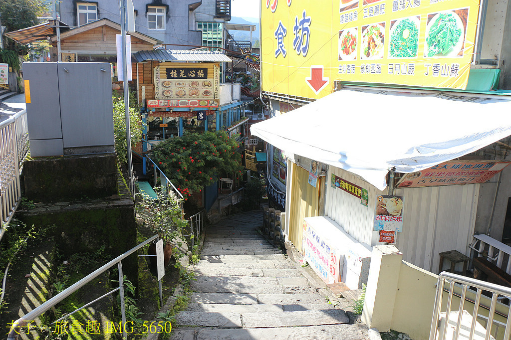 南庄秘境遊 四十二份湧泉自然生態步道 X 蓬萊溪護魚步道