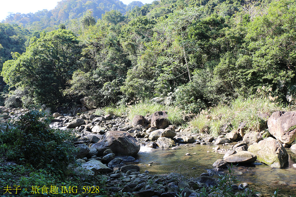 南庄秘境遊 四十二份湧泉自然生態步道 X 蓬萊溪護魚步道