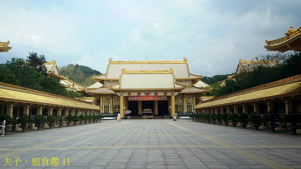 新威森林公園 桃花心木 X 天台山維多莉亞園區 花旗木