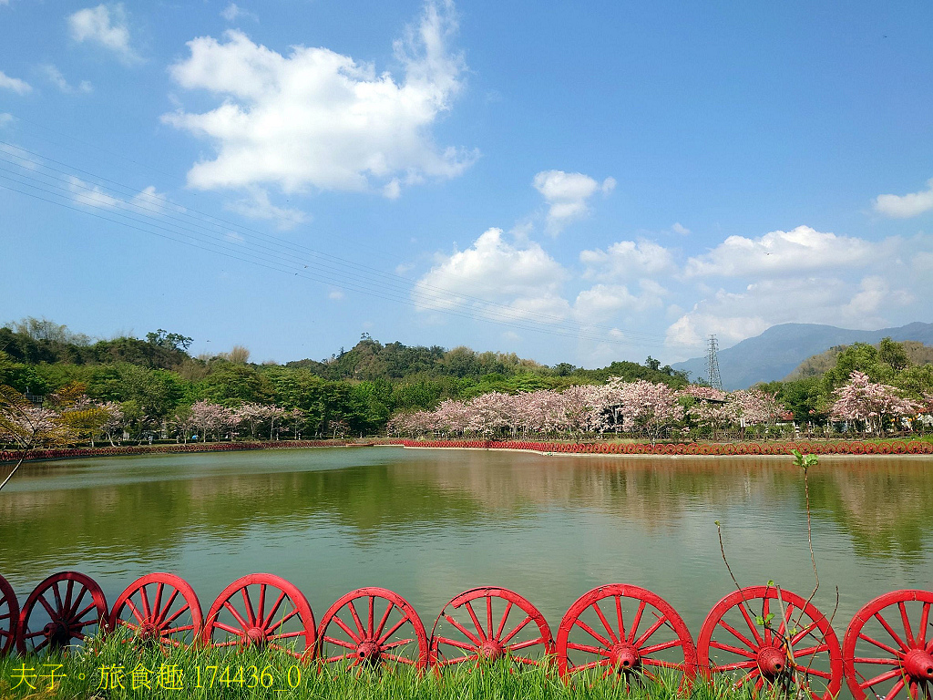 新威森林公園 桃花心木 X 天台山維多莉亞園區 花旗木