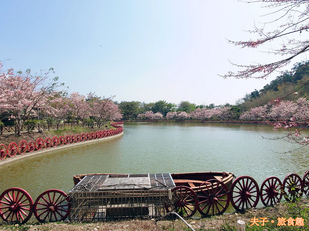 新威森林公園 桃花心木 X 天台山維多莉亞園區 花旗木