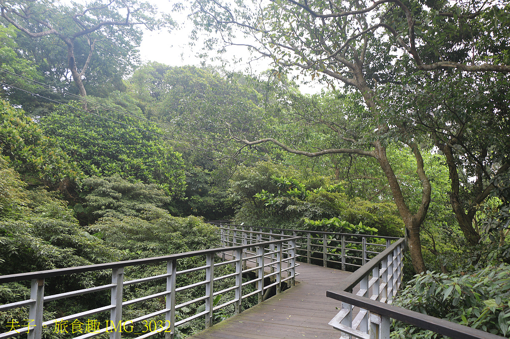 觀音觀鷹 樂活行腳 輕旅觀音山 鷹得精彩 感受觀音山自然之美