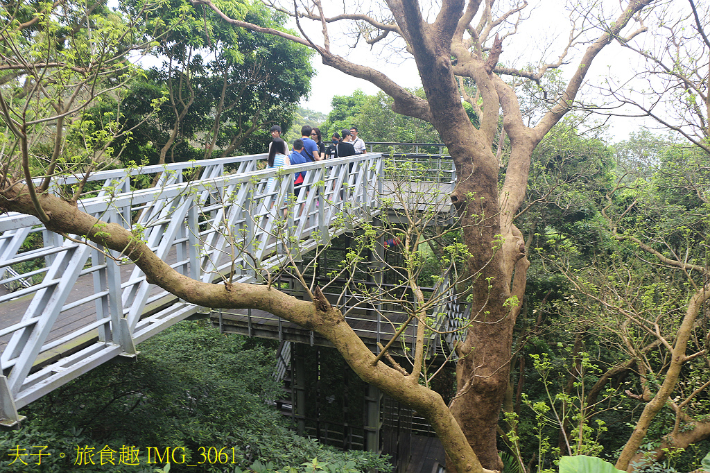 觀音觀鷹 樂活行腳 輕旅觀音山 鷹得精彩 感受觀音山自然之美